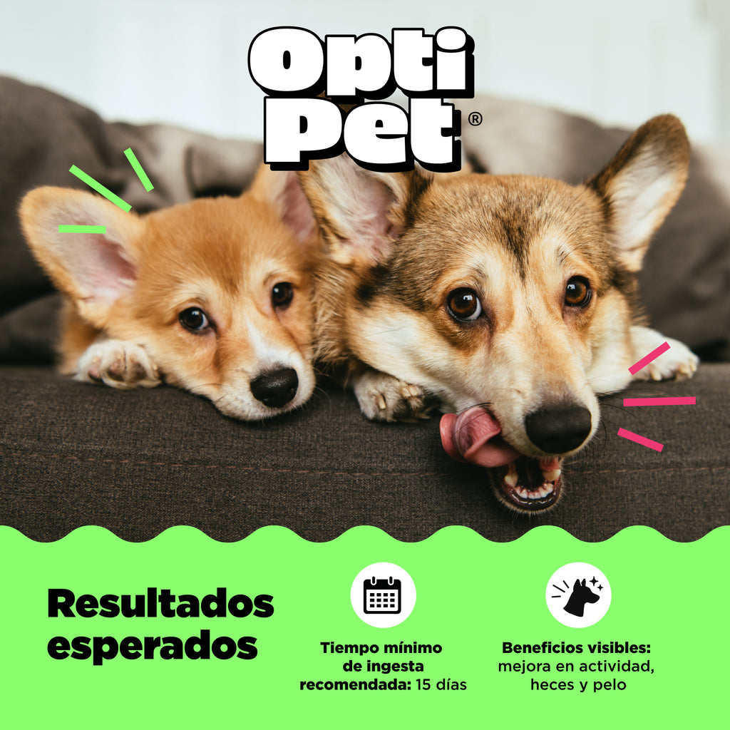 Optipet Healthy Gut Bienestar Y Apoyo Digestivo Diario