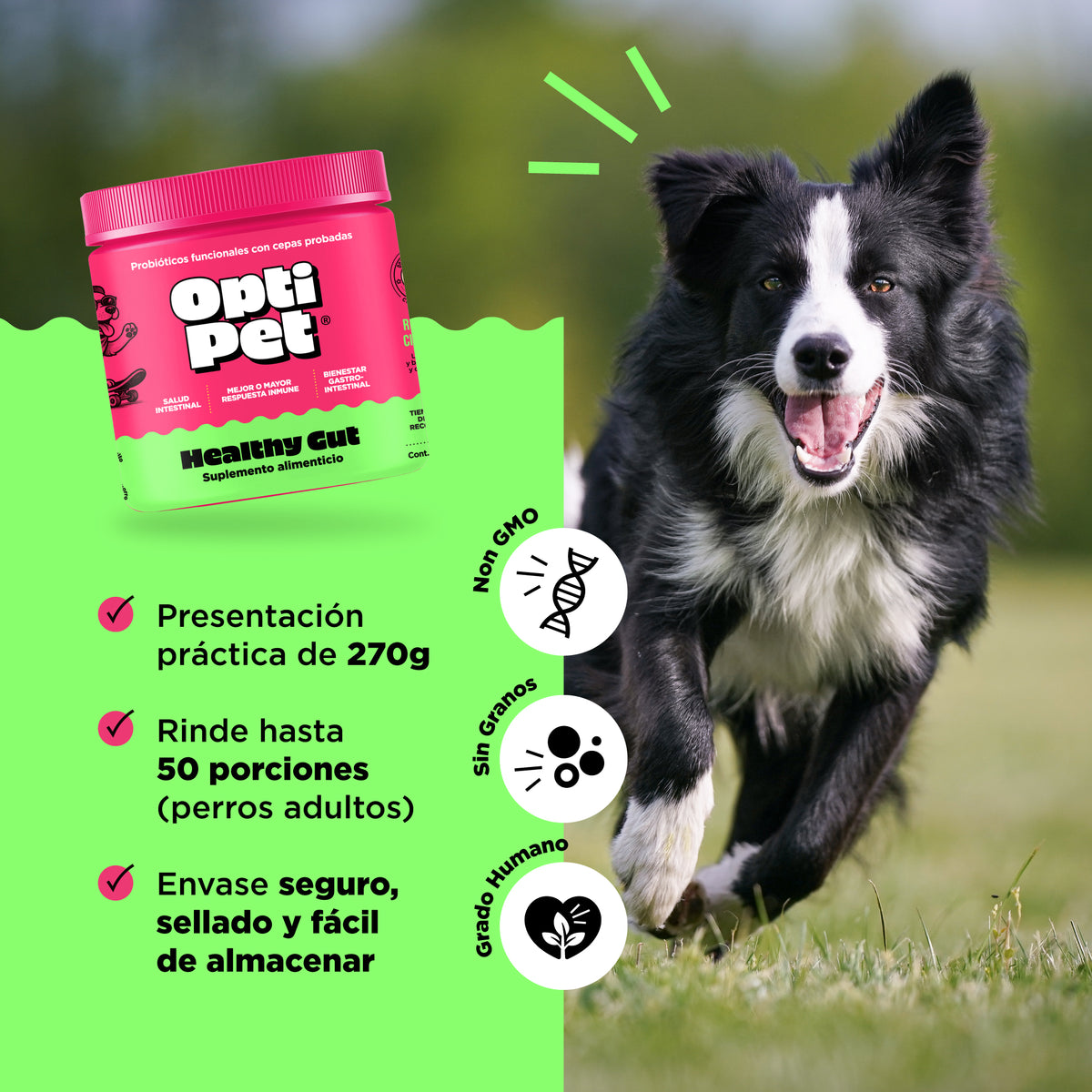 Optipet Healthy Gut Bienestar Y Apoyo Digestivo Diario