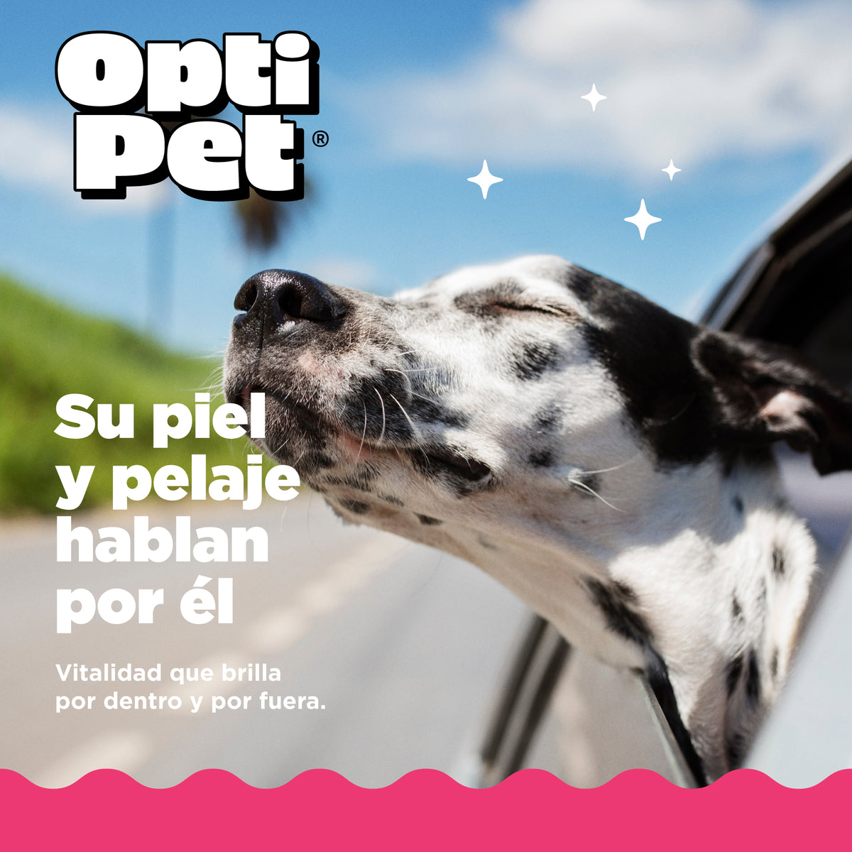 Optipet Skin & Coat Suplemento Alimenticio Piel Y Pelaje