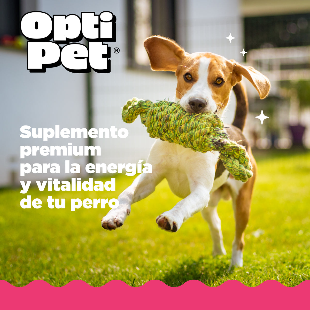 Optipet Vitality Suplemento Para Energía Y Bienestar Canino