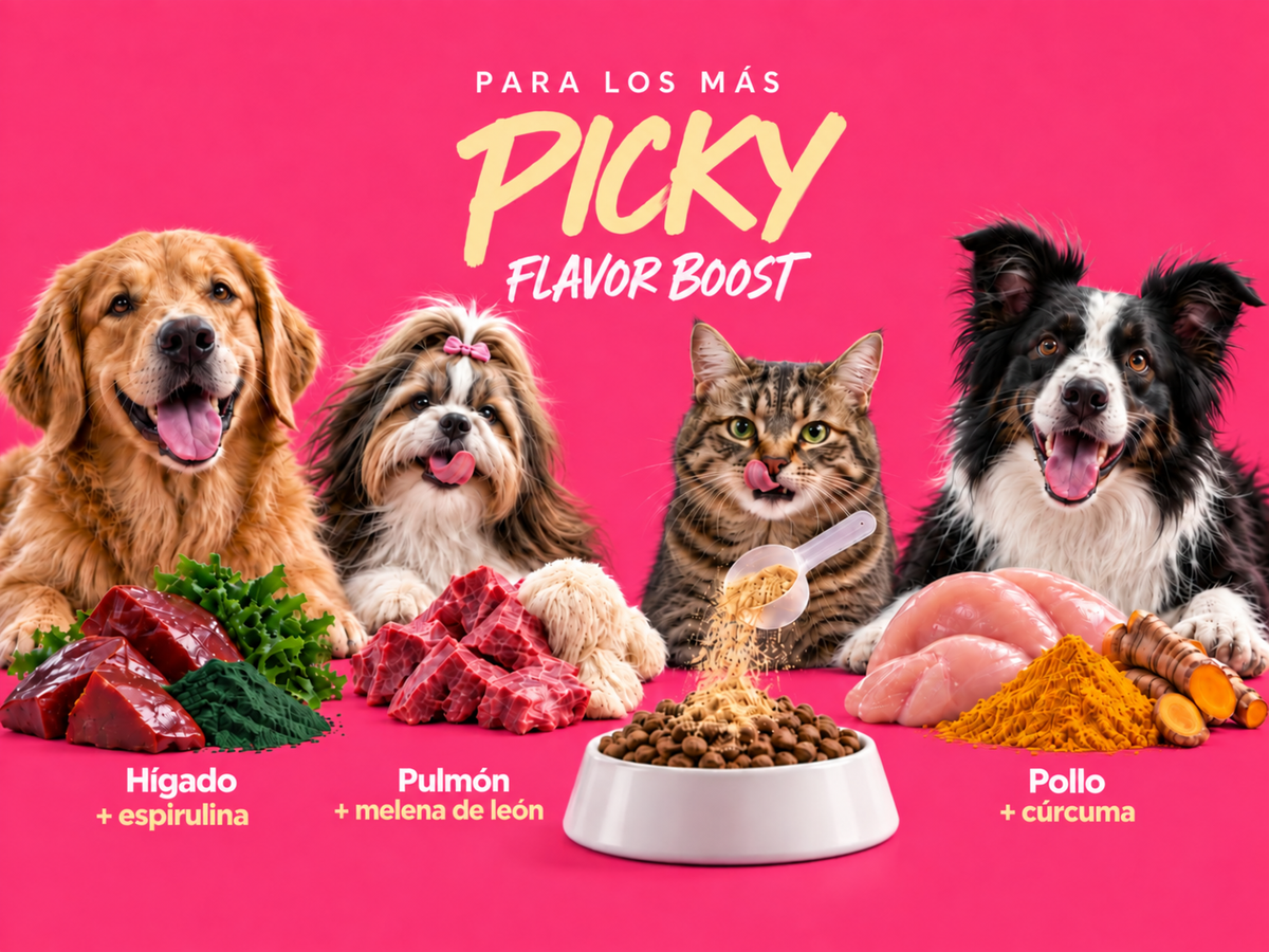 Para los más picky: Flavor Boost con hígado y espirulina, pulmón y melena de león, y pollo con cúrcuma sobre sus croquetas.
